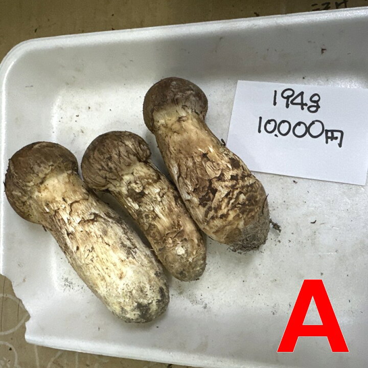 楽天市場】【現物を発送します】国産 岩手県産 松茸 まつたけ マツタケ 