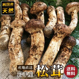 【獲れ次第順次発送】岩手県産 松茸 つぼみ約200g 国産 まつたけ マツタケ 送料無料 同梱不可