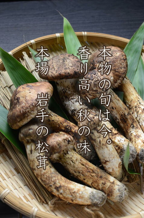 楽天市場】【獲れ次第順次発送】国産松茸【特上】約300g（4本から6本 