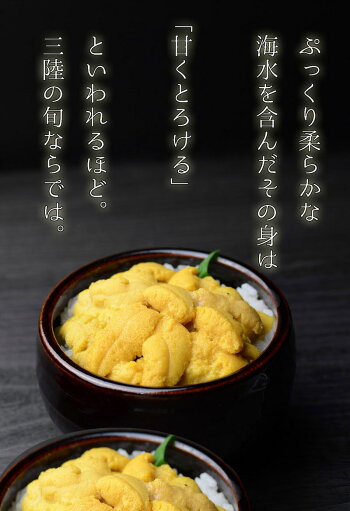 生ウニ