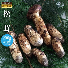 【獲れ次第順次発送中】岩手産 訳あり松茸200g(1〜10本）大小お任せ！欠け含む　時期により大きさが違います。松茸 国産 マツタケ まつたけ