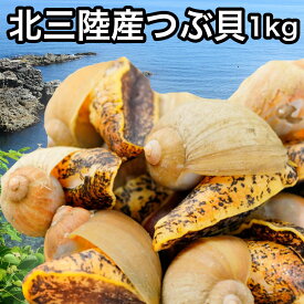 送料無料 北三陸産ボイルつぶ貝 1kg 殻付き お刺身 海鮮 海産物 おつまみ