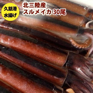 送料無料 鮮度超抜群 スルメイカ冷凍30尾入り(約4.5kg〜約5.5kg)【するめいか】急速冷凍釣りイカを氷ごと急速冷凍です。