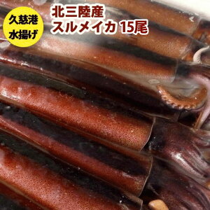 送料無料 鮮度超抜群 スルメイカ冷凍15尾入り(約4.5kg〜約5.5kg)【するめいか】急速冷凍釣りイカを氷ごと急速冷凍で、イカは15尾くっついています。