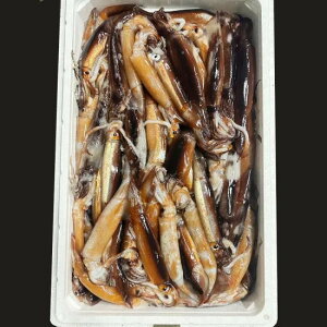 y󂠂z kOY ⓀނCJ (XCJ) o s(4kg`6kg)y߂z}ⓀނCJXƋ}ⓀłB