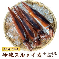 送料無料 鮮度超抜群！冷凍スルメイカ中4～6尾 約1kg前後 鮮度そのまま急速冷凍 いか スルメイカ