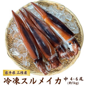  NxQIⓀXCJ4`6 1kgO Nx̂܂܋}Ⓚ  XCJ