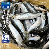 送料無料 三陸産 冷凍 とろける極鮮イワシ 5kg（1匹あたり100g以上） いわし 鰯