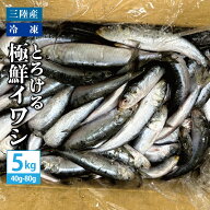 送料無料 三陸産 冷凍 とろける極鮮イワシ 5kg（1匹あたり40g〜80g） いわし 鰯