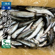 送料無料 三陸産 冷凍 とろける極鮮イワシ 5kg（1匹あたり70g〜100g） いわし 鰯