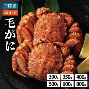 �y���������z�T�C�Y���I�ׂ�I ��茧 �k�O���Y �{�C�� �уK�j ��300g ��400g ��500g ��600g ��800g ���g���シ���ɉ��H�I ���Y �ъI �т��� �C�N �C�̍K