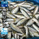 送料無料 岩手県産 冷凍 極鮮豆アジ5kg（1匹あたり10-40g） あじ 鯵 小アジ