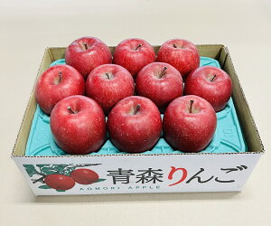 Tӂ ypEx13xȏz 3kg  S XY Yn 8`11 t[c ؂ȕւ̑蕨 ь v[g Mtg  x13xȏ  Tӂ 