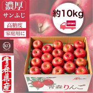 濃厚サンふじ 【家庭用】 約10kg りんご リンゴ リンゴ サンふじ さんふじ 糖度13度 青森県産 産地直送 …