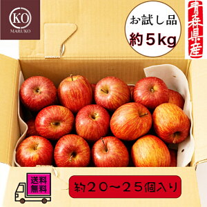 yizZTӂ  5kg  S XY ol ь  x  Yn t[c lC 󂠂 ʕ X