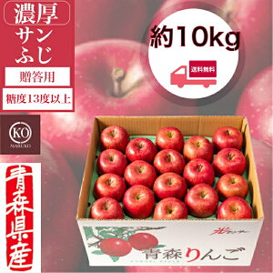 �y���������z �Z���T���ӂ� �y�����p�E���x13�x�ȏ�z ��10kg ��� �����S �����S �Z���T���ӂ� �T���ӂ� ����ӂ� �X���Y �Y�n���� ��26�`46���� �ʕ� �t���[�c �l�C �ь� �v���[���g �M