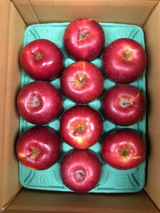 yp񂲁z VimXC[g 3kg  S ь t[c ʕ Â W[V[ 蕨 v[g ƒp lC X  Yn XY S