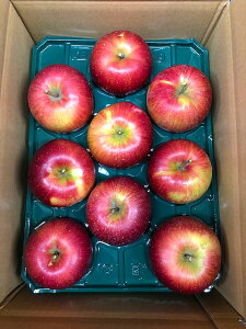 yƒp񂲁z VimXC[g 3kg  S ь t[c ʕ Â W[V[ 蕨 v[g ƒp lC X  Yn XY S 󂠂