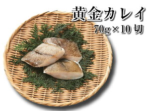 y(kCEꏜ)zJC@Ȃؐg 70g×10؁@yՁzyꂢzZ@H@ٓ