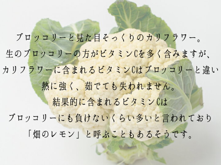 生抜 3pc 1個 銀杏 送料込み