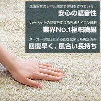 高機能デザインラグスミノエリュストル約200×200cm【送料無料】【メーカー直送品】【安心の日本製】