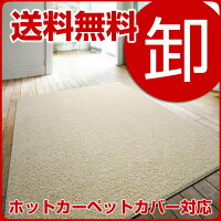 ラグマット&カーペットホットカーペットカバー対応グラスウェブ約140×200cm【メーカー直送品】ikea【smtb-k】【YDKG-tk】【smtb-tk】
