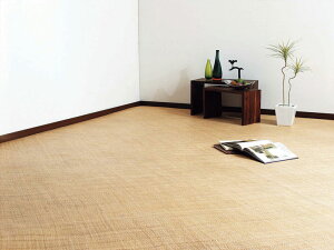 فiƂjEO J[ybgEėp O Ђ V[Y 174×261 cmi]ˊ3jyi فiƂj Oz[61_1_174_261_18]