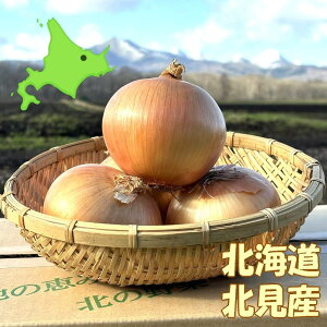 Yʓ{IkF1 ʂ˂ GiLTCY kCY ܂˂ ʔK ^}lM 