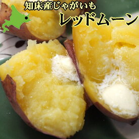 知床産 レッドムーン 送料無料 新じゃがいも 北海道産 ジャガイモ 産地直送