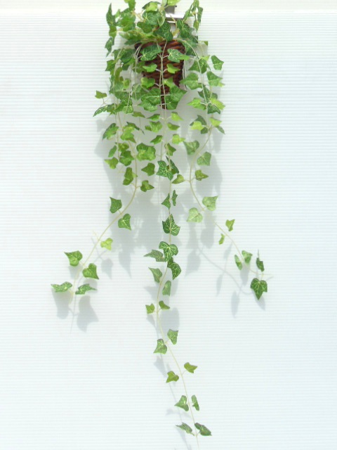 光触媒 インテリアグリーン 造花 観葉植物 フェイクグリーン つる ツタ ケーアイジャパン  アイビー 壁掛け