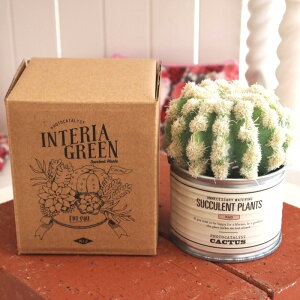 MtgtIƂĂȂϗtAIG}O[yTINTLbg {[z `O450~