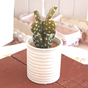 P[ACWp ϗtA tFCNO[  G} CeA yTRCA-02 ~jE`T{ez@`O450~