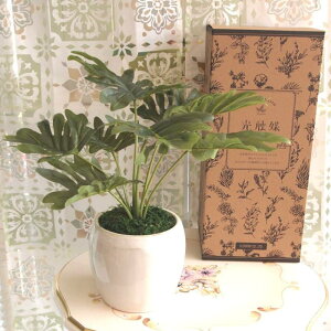 �P�[�A�C�W���p�� �ϗt�A�� �t�F�C�N�O���[�� ���� ���G�} �C���e���A�O���[�� �y�t�B���f���h���� KM�z