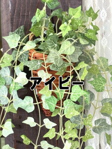 ǂɊ| G} H CeAO[  ϗtA tFCNO[  c^ P[ACWp ACr[Ǌ| N}`XǊ| r[oCǊ|