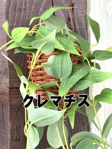 ǂɊ| G} H CeAO[  ϗtA tFCNO[  c^ P[ACWp ACr[Ǌ| N}`XǊ| r[oCǊ|