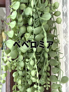 ݂艺Ė̋Ԃ G}H CeAO[ubV  ϗtA tFCNO[ P[ACWp eB[[t ~jVF[t yy~A