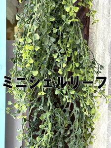 ݂艺Ė̋Ԃ G}H CeAO[ubV  ϗtA tFCNO[ P[ACWp eB[[t ~jVF[t yy~A