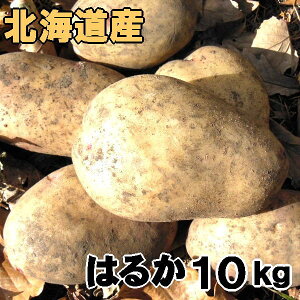 じゃがいも 10kg イモ類の通販 価格比較 価格 Com じゃがいも 10kg イモ類の通販 価格比較 価格 Com