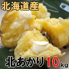 送料無料 越冬じゃがいも 北あかり 10kg 北海道産 ジャガイモ 特別栽培品