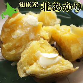 送料無料 じゃがいも 北あかり 北海道産 知床産 新ジャガイモ キタアカリ 産地直送