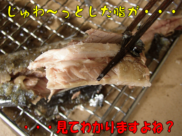 楽天市場】送料無料！根室産とろサンマ（約4kg 40〜44尾 1尾