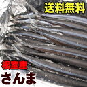 送料無料！北海道根室産 冷凍サンマ 約2kg 15〜20尾入り！獲れたてを急速冷凍したサンマです！