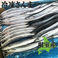 送料無料！北海道根室産 冷凍サンマ10kg 90-100匹前後入り！