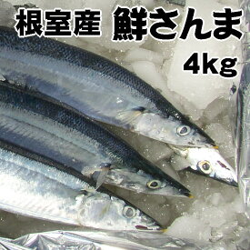 送料無料！根室産とろサンマ（約4kg 40〜45尾 1尾100g前後）お刺身にできる！北海道産獲れたて生さんまを水氷でお届けします。