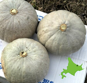  󂠂 L@͔|i ڂuv kCY J{` 󒬎Y