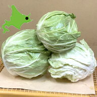 北海道産 キャベツ 訳あり 食品 野菜 低農薬 国産 箱売り 10kg