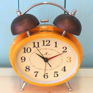 傫ȃx̖ڊo܂vIAxNgA[NbNyYEz@`O450~