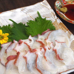 IkCmPYIhgԗp^RJbg1kg