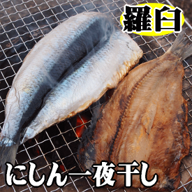 楽天市場 一夜干し にしんの通販