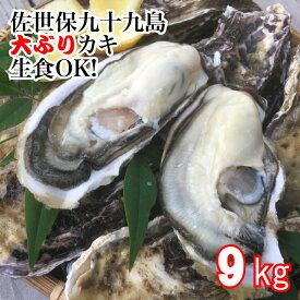 送料無料！佐世保九十九島大ぶりかき9kg UV滅菌処理済み！　安心　安全